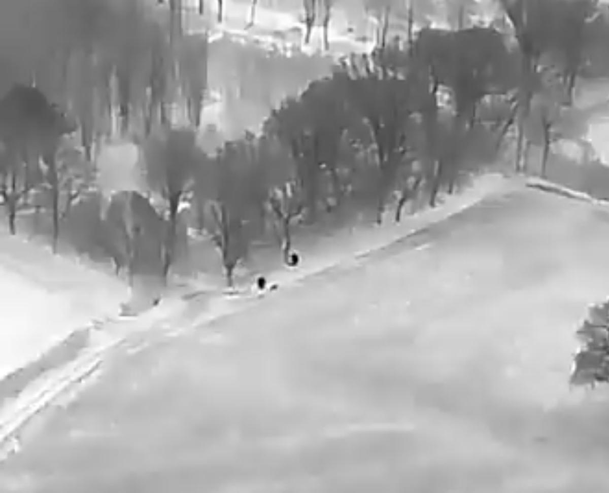 Watch police drone pilot and dog handler find suspect